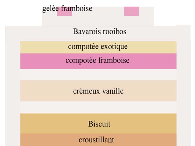  Gâteau raffiné aux saveurs tropicales : compotée mangue-passion, crémeux vanille, mousse thé rooibos maracuja et gelée de framboises
