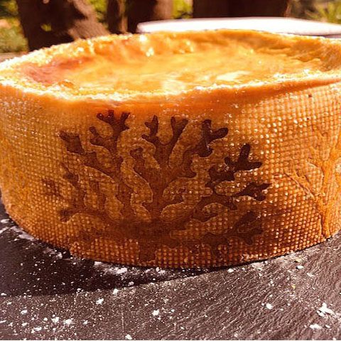 Flan pâtissier aux fruits de la passion/mangue, vanille et rhum hyeres