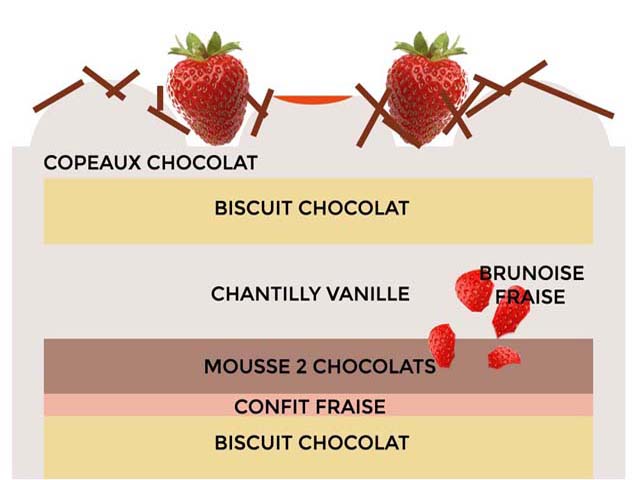  Gâteau entre forêt noire et fraisier : biscuit chocolat, mousse chocolat noir et lait, insert fruité et chantilly mascarpone vanillée