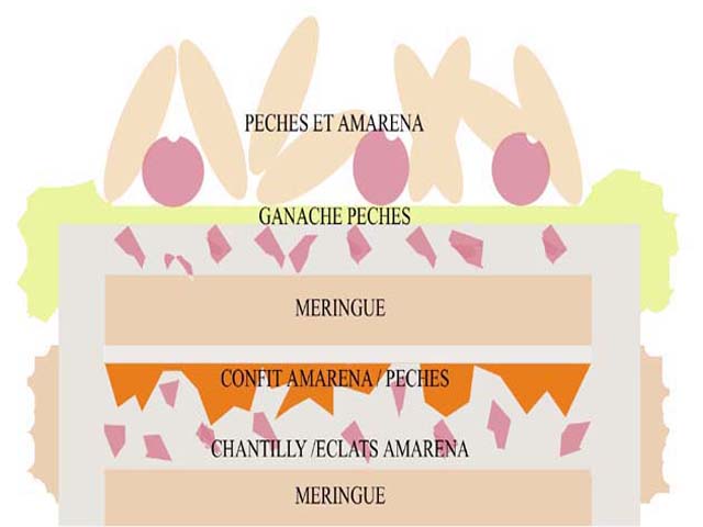 Dessert fruité et gourmand : pavlova revisitée avec meringue suisse, ganache chocolat, compotée pêche-Amarena et chantilly mascarpone