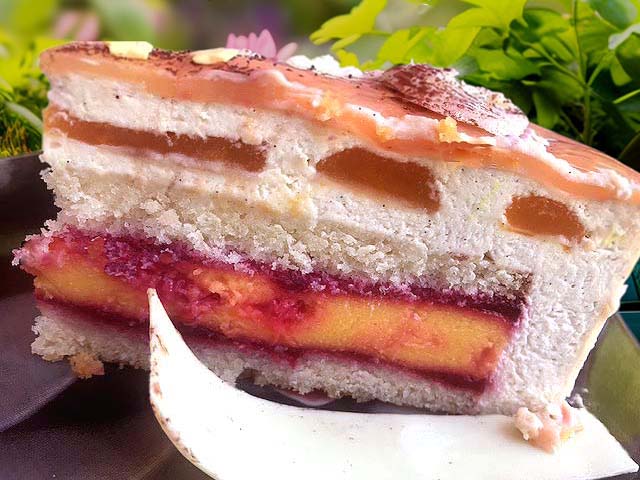Entremets de fête d’anniversaire aux fruits exotique et framboises, chocolat fève de Tonka