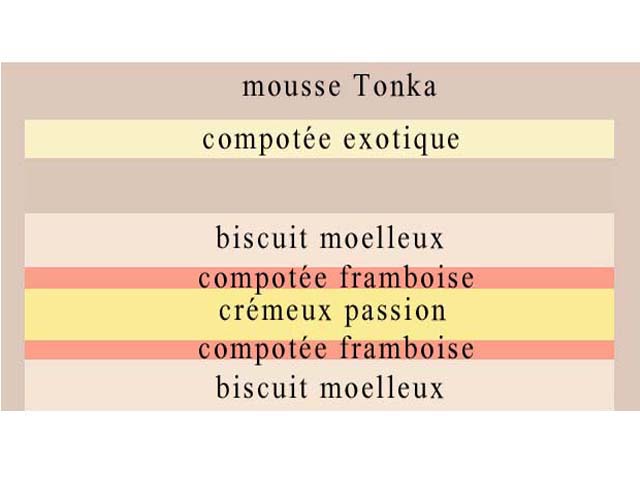 Dessert d’anniversaire, chocolat, fruits exotiques, chocolat blanc