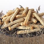 Gâteau d’anniversaire aux fraises, mangue & fruits de la passion
