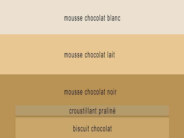 Gros plan sur un entremets trois chocolats avec glaçage miroir brillant et textures gourmandes, dessert facile à partager